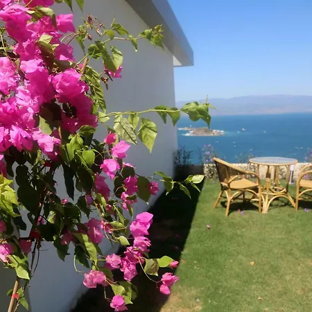Villa Bodrum Adabuku Luks 2+1 Ozel Plaj Ve Havuzlu *